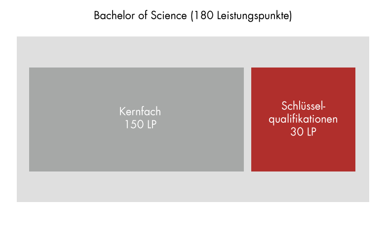 zur Vergrößerungsansicht des Bildes: Aufbau des Studiums: Bachelor of Science, Schlüsselqualifikationen
