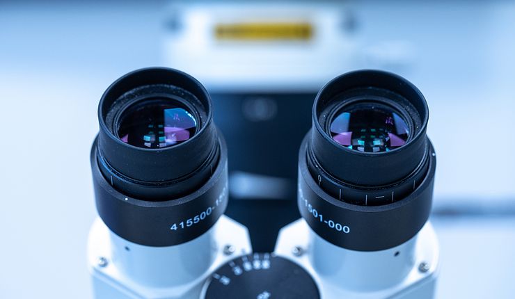 Farbfoto: Detailaufnahme eines Mikroskops. Zu sehen sind zwei Okulare.