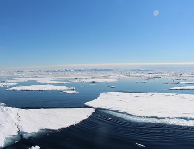Ozean mit arktischen Eisschollen